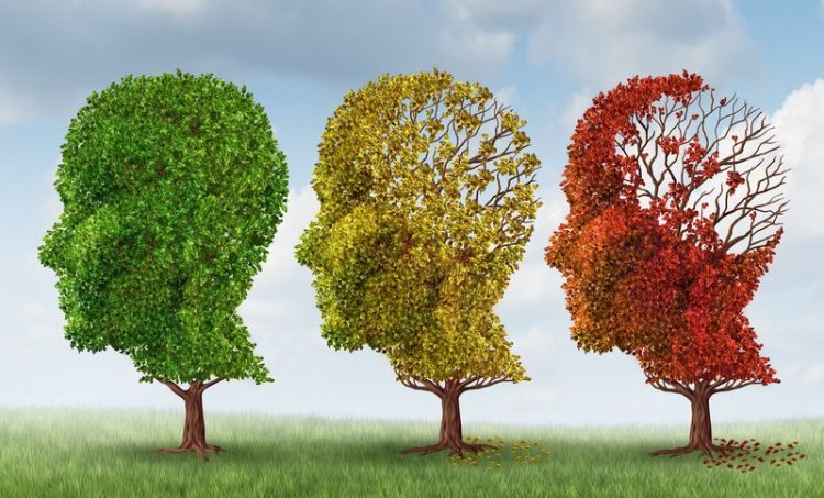 Ziekte van Alzheimer: veelbelovende ontdekkingen