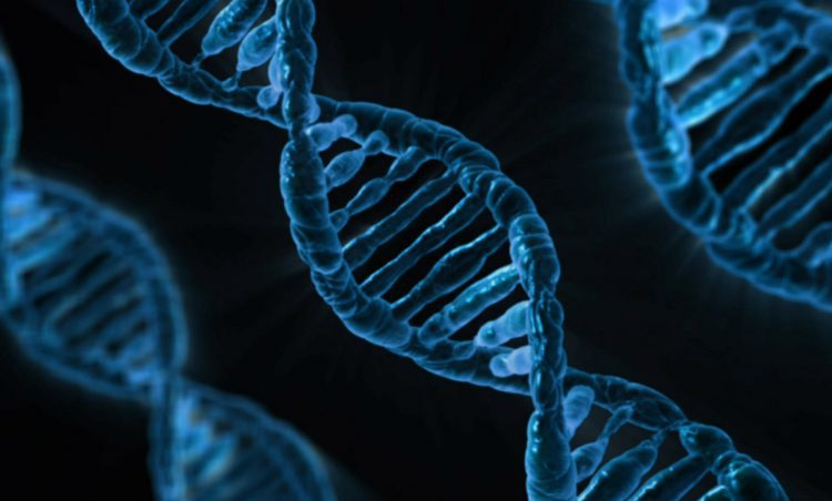 DNA-analyses in de praktijk