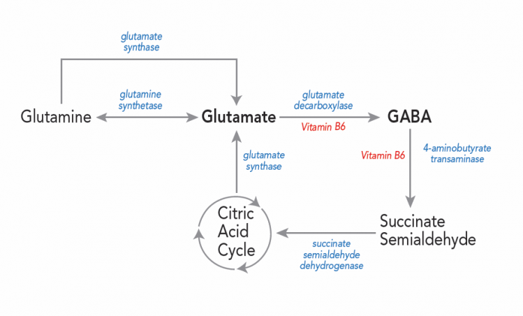 GABA, een slaapverwekkend stofje?