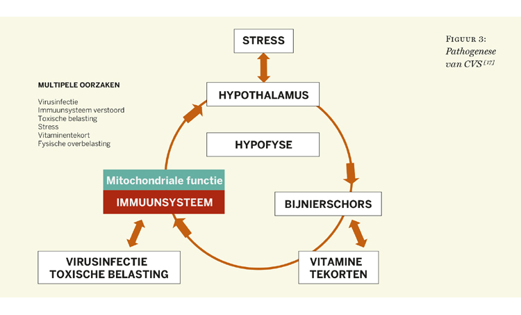 ME/CVS: systemische immuunstoornis