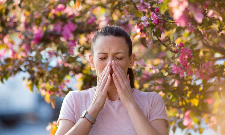 Pollen verminderen antivirale afweer