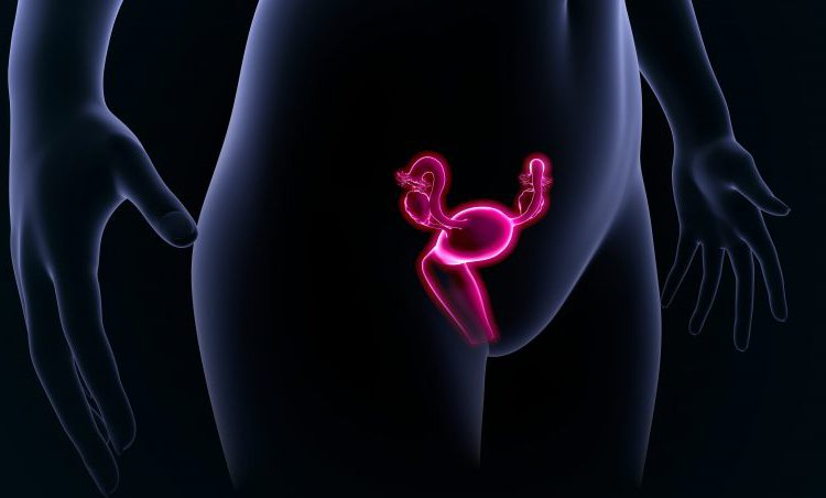 Wetenschappelijk overzichtsartikel: Natuurgeneeskunde bij endometriose, dysmenorroe en menorragie