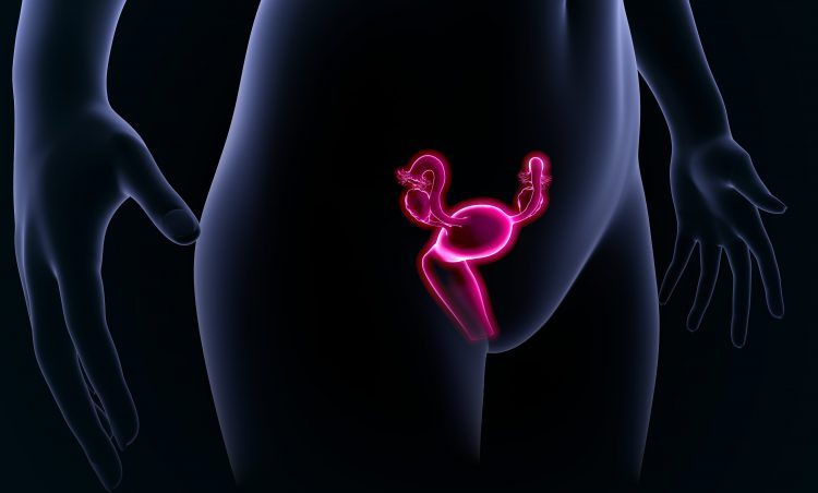 Een integrale benadering van endometriose
