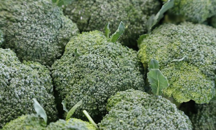 Broccoli-supplement onderzocht bij autisme