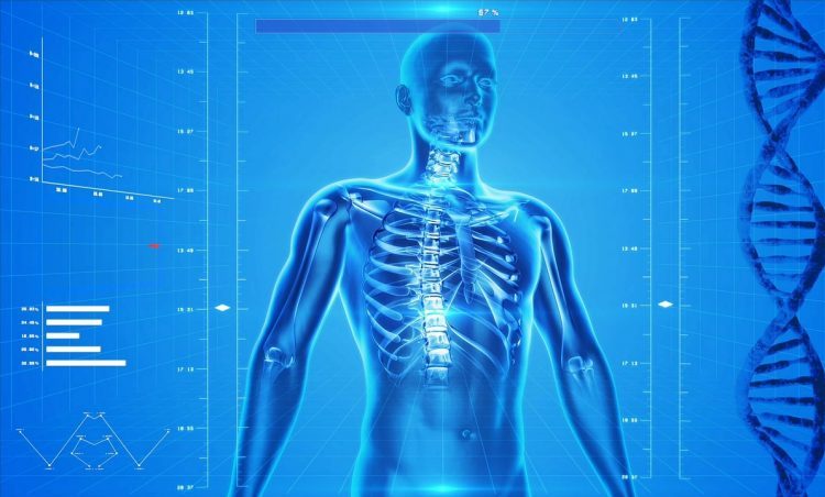 Osteoporos: complexe wisselwerking