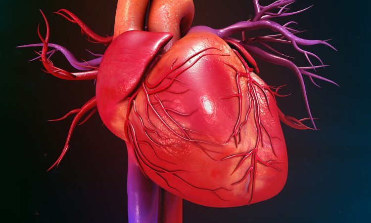 Diastolisch hartfalen: eindstadium van metabool syndroom