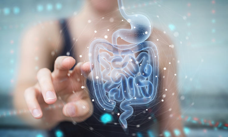 Ook het darmviroom beïnvloedt onze gezondheid